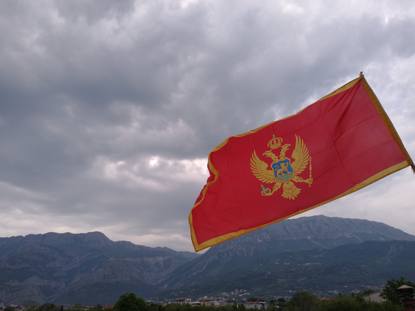 newest-news-post-image